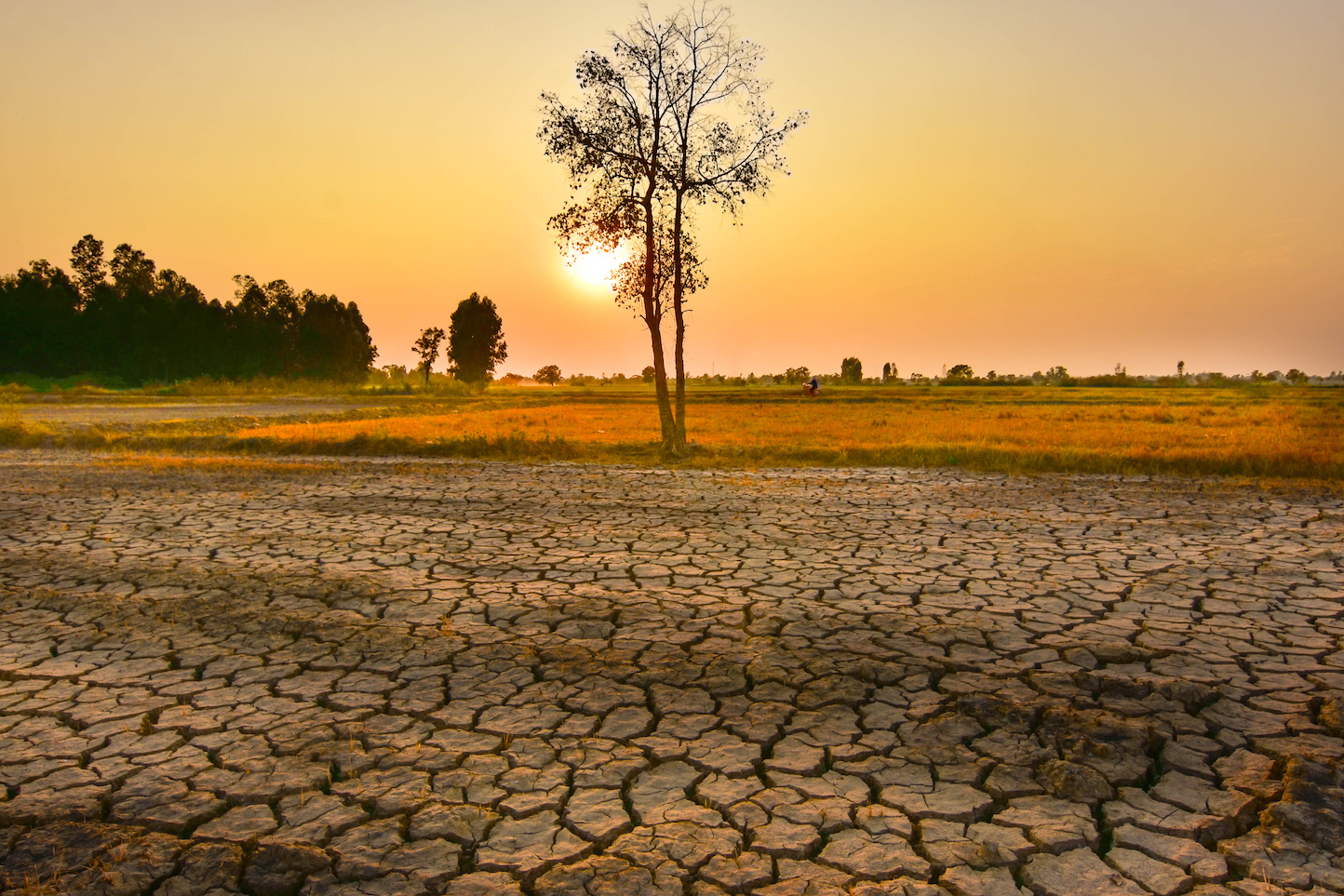 ThucyBlog n° 141 – Le renseignement,  un nouvel acteur majeur des questions climatiques ?