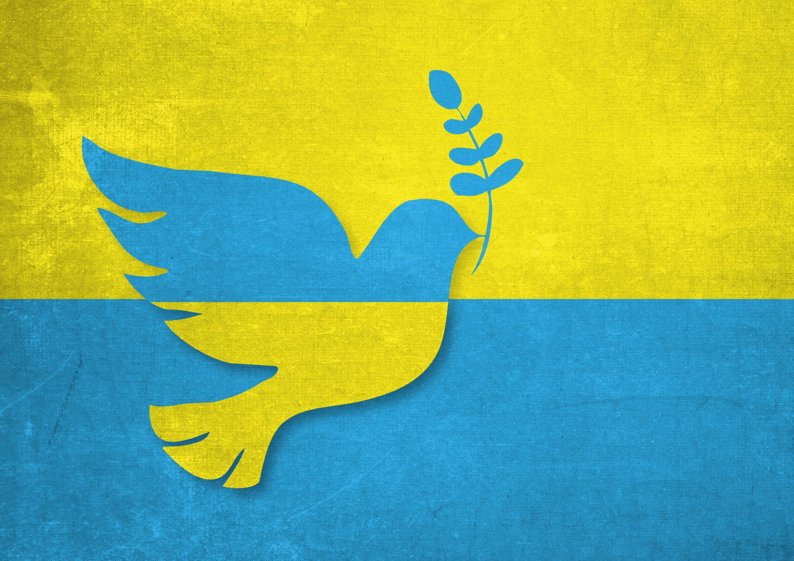 Guerre en Ukraine : enjeux stratégiques et conséquences internationales